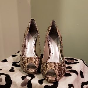 BCBG Girls 4 inch Natural Print Snake hills